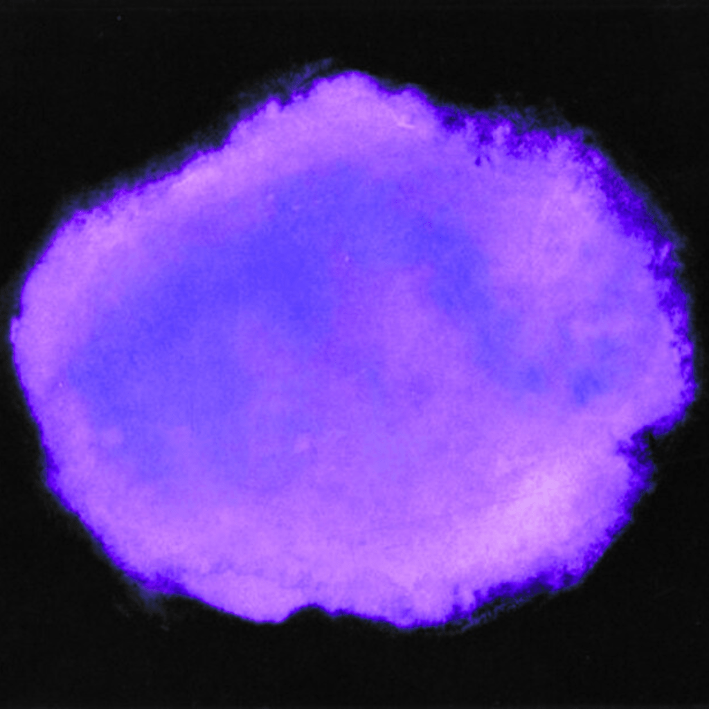 The Trucks and the Killers and Commuters, and&nbsp;I