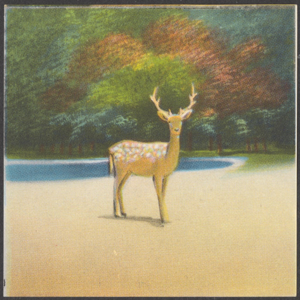 The Night of a Startling Vision  